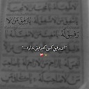 Profile picture of ‌پارسا اوسطی‌