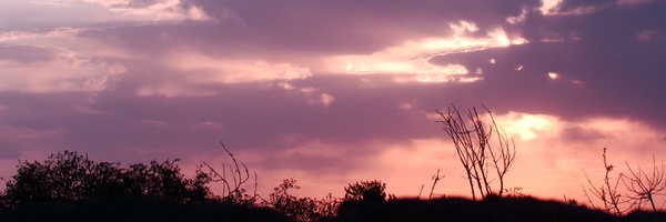 ‌Maryam Bordbar‌'s header picture