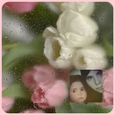 Profile picture of ‌Shahabsmsm‌
